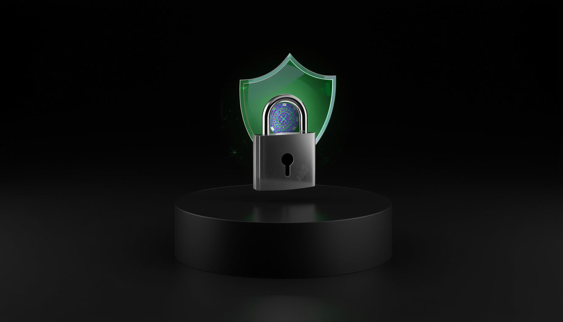 Security Measures and Licensing